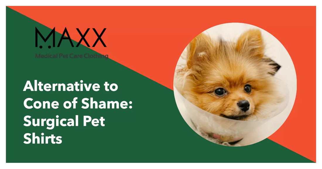 Alternative to Cone of Shame: Surgical Pet Shirts by MAXX PET