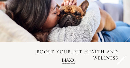 Boost Your Pet Health and Wellness: The Key to a Happy, Healthy Companion