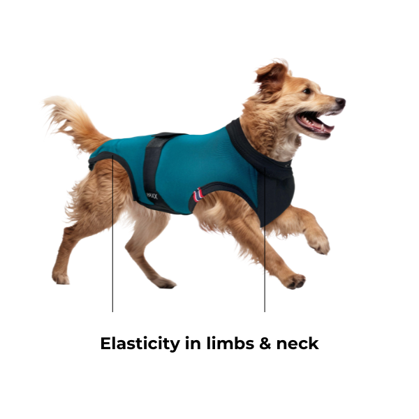 MAXX DOG RECOVERY SUIT - PREMIUM