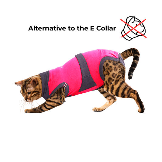 MAXX CAT RECOVERY SUIT