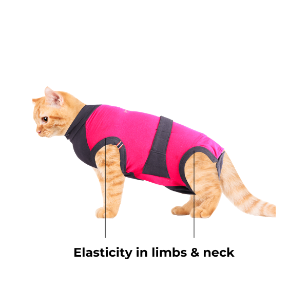 MAXX CAT RECOVERY SUIT