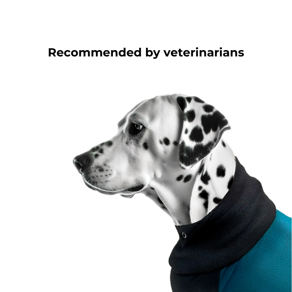 MAXX DOG RECOVERY SUIT - PREMIUM