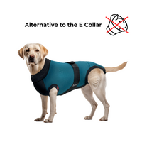 MAXX DOG RECOVERY SUIT - PREMIUM