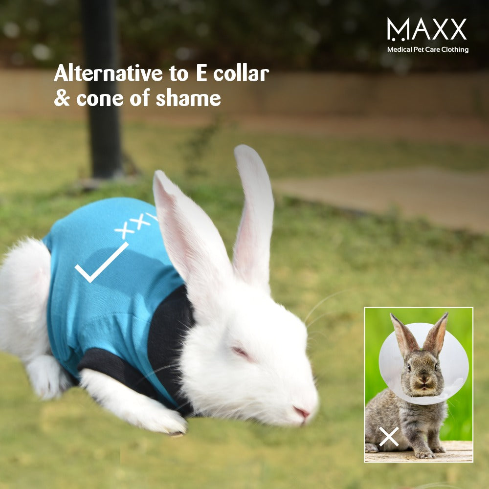 MAXX RABBIT RECOVERY SUIT