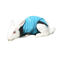 MAXX RABBIT RECOVERY SUIT