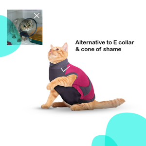 MAXX Cat Pet Shirts