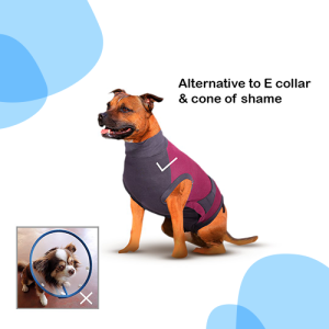 MAXX Recovery Suit for Rabbit, E Collar/Cone of Shame Alternative, (3XS,  Aqua Blue)
