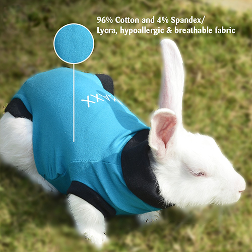 MAXX Rabbit Shirts, Pet Recovery Rabbit Shirts, Rabbit Recovery Suit