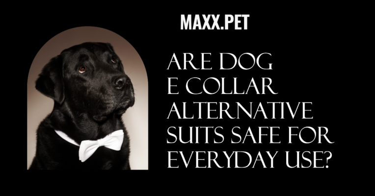 Dog E Collar Alternative Suits