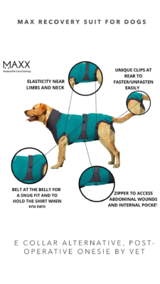 Recovery Suits for Dogs