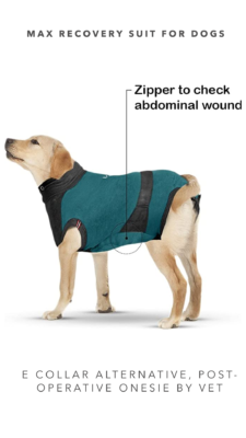 Vet Dog Bodysuits