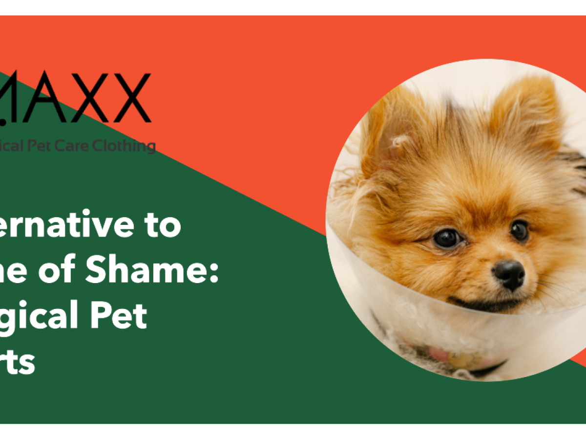 Maxx Pet - Revolutionizing Pet Recovery with Innovative Dog