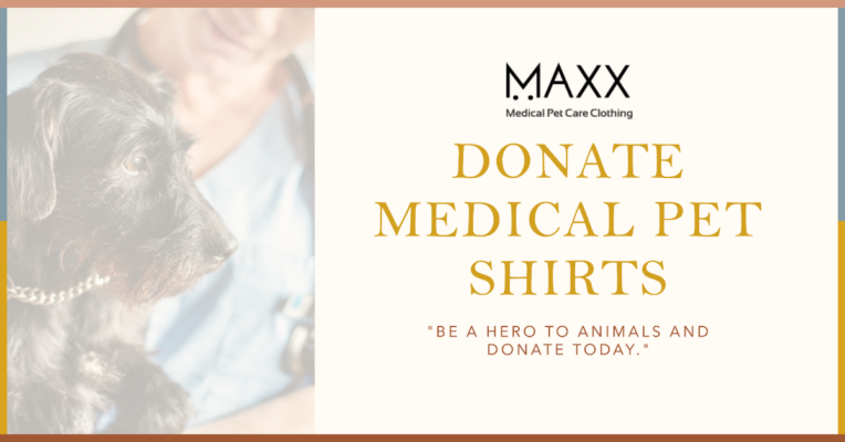 Medical Pet Shirts to Animal Shelter Homes