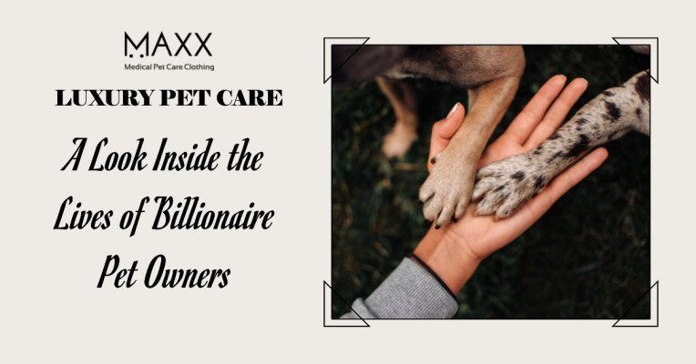 Luxury Pet Care