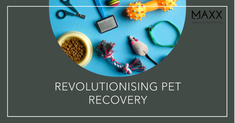 Revolutionising Pet Recovery: How MAXX Medical Pet Care Clothing Supports Cutting-Edge Health Treatments