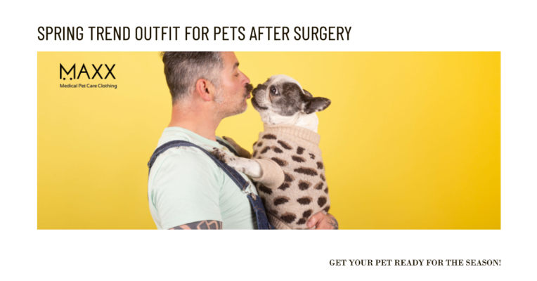 Spring Trend Outfit for Pets after Surgery