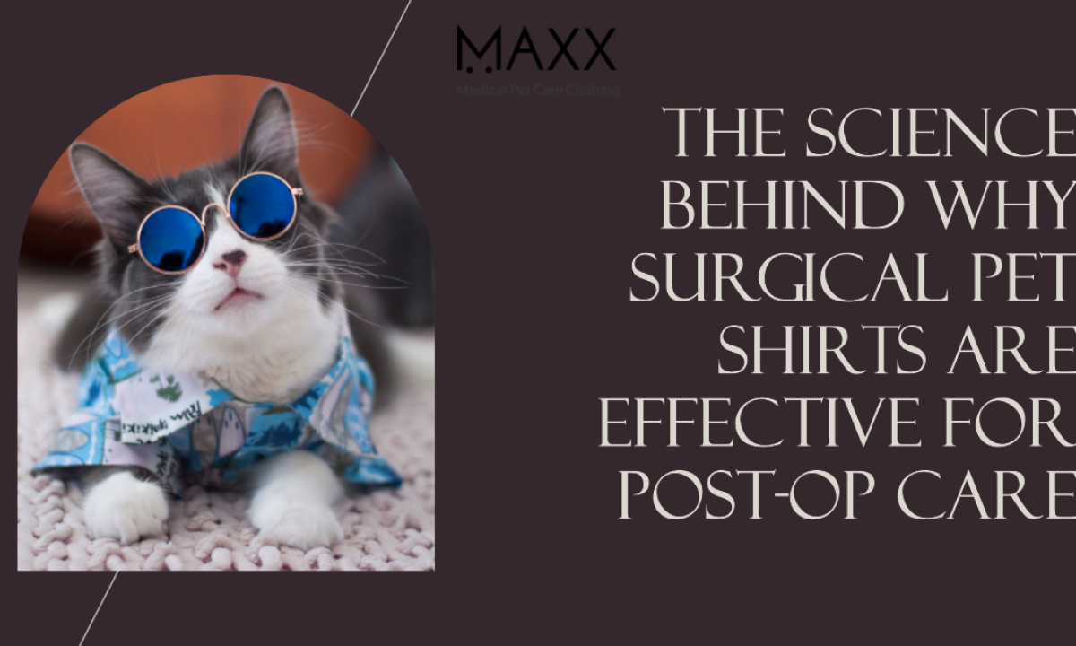 Maxx medical hotsell pet clothing