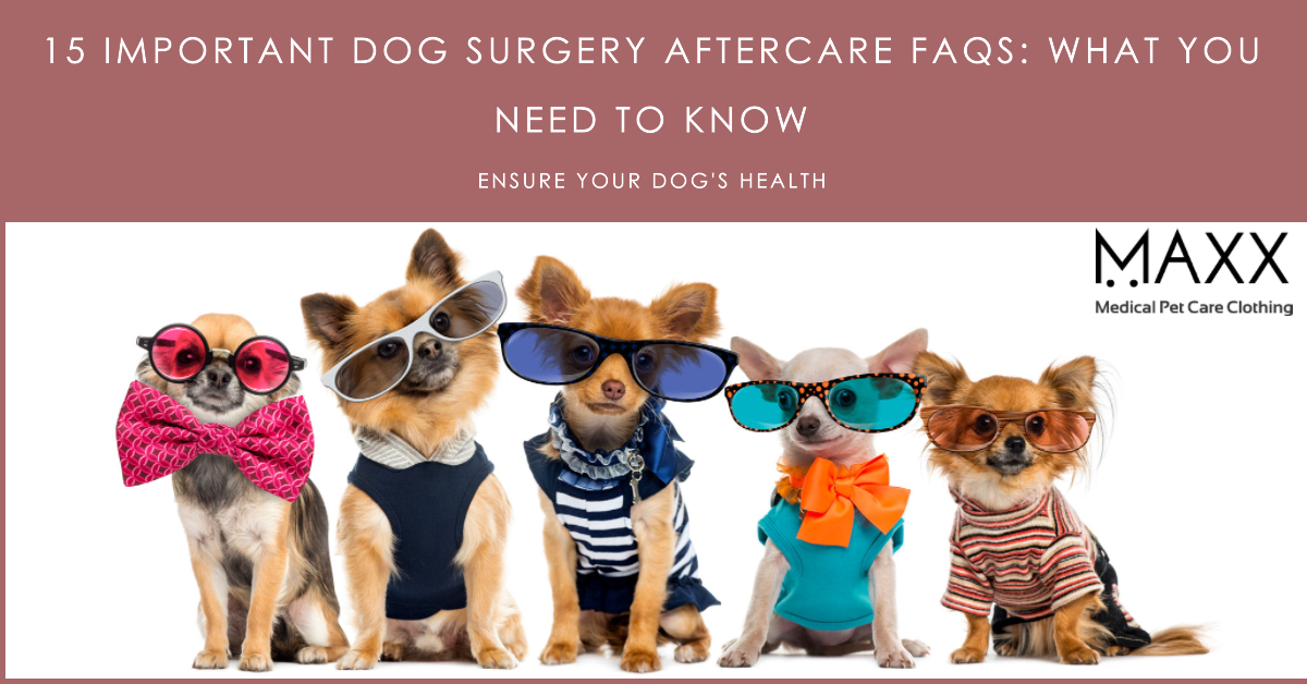 Dog Surgery Aftercare