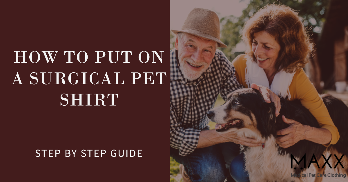 How to Put on a Surgical Pet Shirt