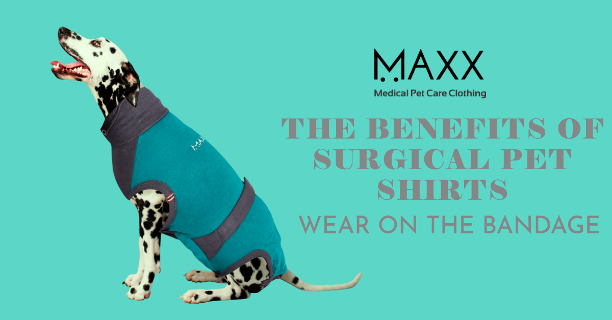 Surgical Pet Shirts to be Worn on the Bandage