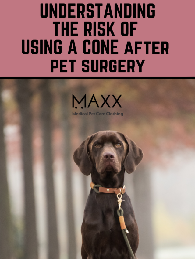 UNDERSTANDING THE RISK OF USING A CONE AFTER PET SURGERY