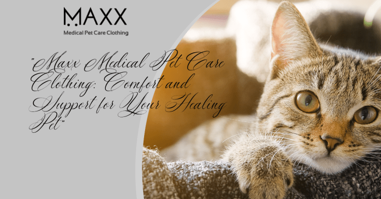 "Maxx Medical Pet Care Clothing: Comfort and Support for Your Healing Pet"