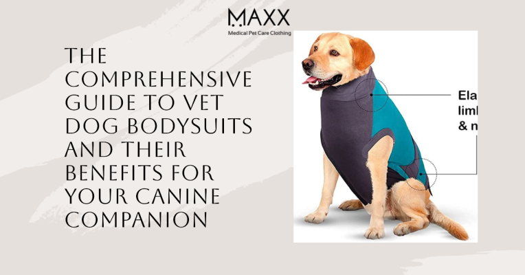 Dog wearing a vet bodysuit, enjoying the comfort and protection it provides for overall well-being.