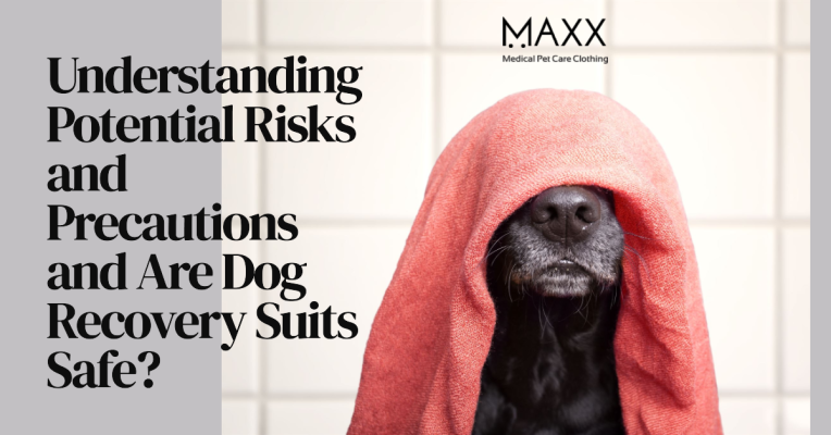 Understanding Potential Risks and Precautions and Are Dog Recovery Suits Safe?