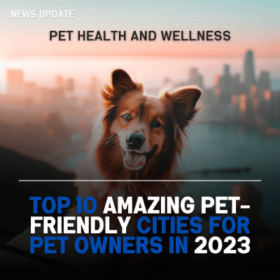 Pet-Friendly Cities