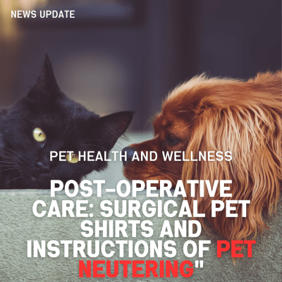 Understanding the Cost of Spaying and Neutering and Benefits of Neutering Your Pet