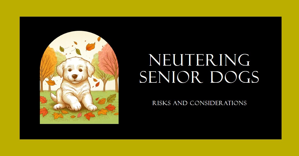 neutwring a senior dog
